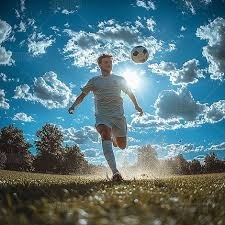 三鹰哥冬季游泳